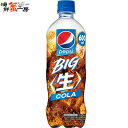 ペプシBIG 〈生〉 600mlPET×24本 サントリー ペットボトル 炭酸飲料 コーラ 送料無料