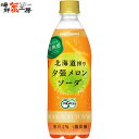 北海道搾り夕張メロンソーダ 500mlPET×24本 微炭酸 ポッカサッポロ