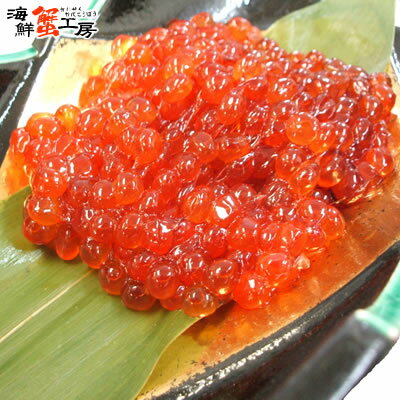 北海道産 鮭筋子 500g 鮭卵 魚卵 北海道加工 斜里 野尻正武商店 甘塩 すじこ スジコ おにぎり お茶漬け ご飯のお供 おつまみ 化粧箱 贈答 ギフト 御祝 御礼 誕生日祝 内祝 母の日 父の日