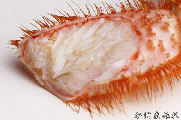【当店人気NO1】無添加 浜茹で毛ガニ【業界最高3〜4特ランク堅蟹】(400g)
