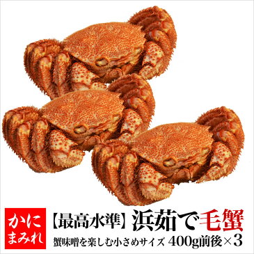 【当店人気NO1】無添加 浜茹で毛ガニ【業界最高3〜4特ランク堅蟹】(400g×3杯)
