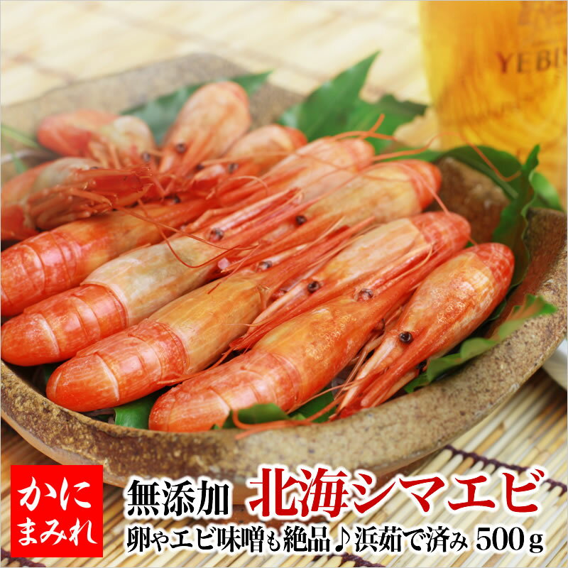 無添加 ボイル北海シマエビ500g・大(20-25尾前後)※子(卵)付き【ビールに合う！】浜茹でぷりっぷりのオホーツク海名物！卵やエビ味噌も絶品♪