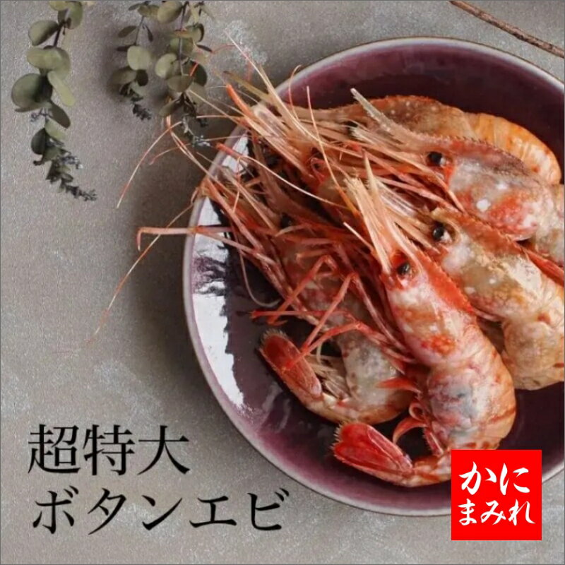 ぼたんエビ 抜群の鮮度！デカすぎる最高級無添加ボタンエビ（刺身用超特大）【高級寿司店使用】