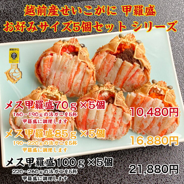 越前産せいこがに甲羅盛お好みサイズ5個セット セコガニ せこがに 蟹 かに カニ か...