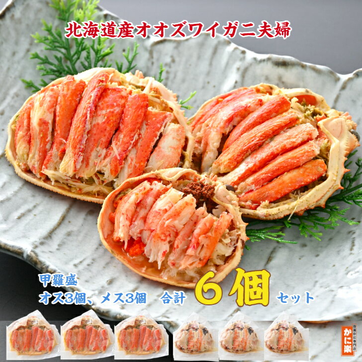 北海道産オオズワイガニ甲羅盛夫婦(オス×3個、メス×3個、合計6個) お好みサイズセット かに カニ 蟹 手軽 身むき 国産 かにみそ カニ味噌 冷凍グルメ 食...