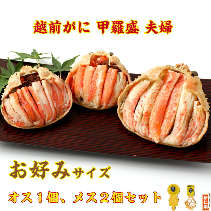越前ズワイガニ甲羅盛夫婦お好みサイズセット(オス×1個とメス×2個) 蟹 かに カニ かにみそ 冷凍 国産 カニみそ むき身 ギフト セコガニ 甲羅盛り 訳あり 特大 高級 お中元 手軽 かに酢 家庭用 ズワイガニ 福井県 解凍するだけ 釜茹で プロトン凍結 マイナス60℃ お祝い
