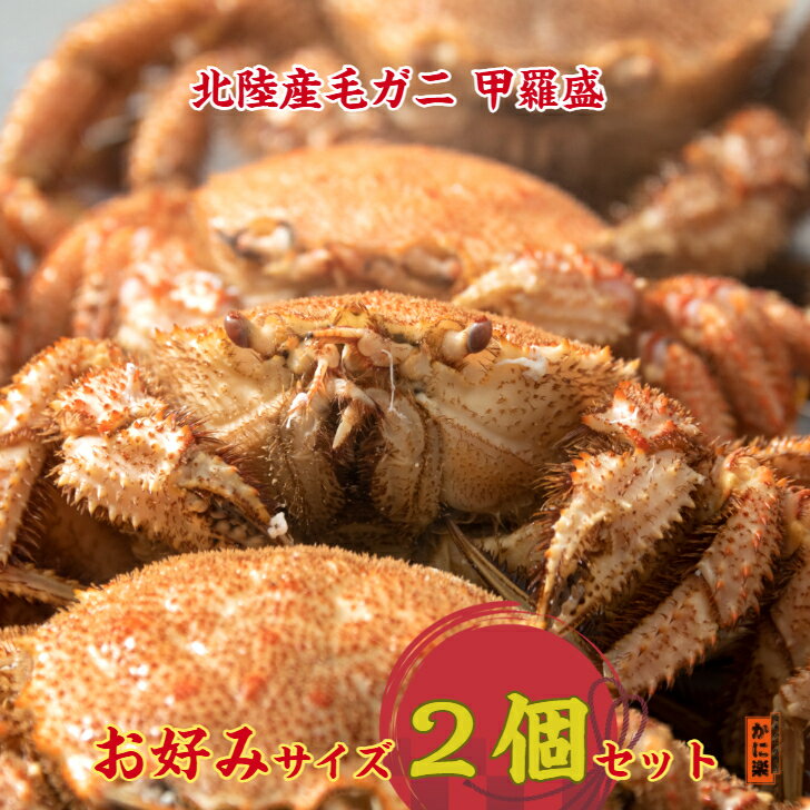 北陸産毛ガニ甲羅盛2個お好みサイズセット 毛がに かにみそ 手軽 国産 冷凍グルメ むき身 メス可能 高..
