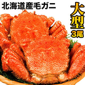 【お値引きクーポン配布中】3尾 合計2.2kg 北海道産大...