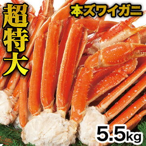 ズワイガニ 【お値引きクーポン配布中】5.5kg 超特大ズワイガニ肩付き脚(ボイル済) 大型 カニ かに 蟹 茹で蟹 ずわいがに ずわい蟹 本ズワイ 天麩羅 炊き込みご飯 食べ物 美味しい 海鮮 バーベキュー BBQ 満足良品館 全国送料無料