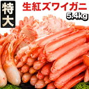 【お買い物マラソン応援SALE中】5.4kg 特大サイズ紅ズワイガニ人気部位お刺身セット 約30人前 お刺身OK 生紅ズワイ 剥き身セット ポーション 紅ずわいがに 紅ずわい蟹 お刺身 天ぷら 海鮮 カニ…