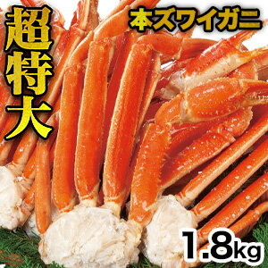 ズワイガニ 【お買い物マラソン応援SALE中】1.8kg 超特大ズワイガニ肩付き脚（ボイル済み）ずわい蟹 大きいカニ カニバター 天麩羅 炊き込みご飯 カニパーティー 海鮮 グルメ 美味しい 海鮮パーティー バーベキュー BBQ 満足良品館 全国送料無料