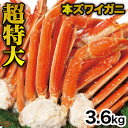 【お値引きクーポン配布中】3.6kg 超特大ズワイガニ肩付き脚（ボイル済み）ずわい蟹 茹で蟹 大きいカニ カニバター 天麩羅 炊き込みご飯 食べ物 グルメ 海鮮 美味しい 海鮮パーティー バーベキュー BBQ 満足良品館 全国送料無料