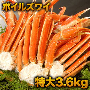 【特別価格】3.6kg 特大ズワイガニ肩付脚(ボイル済) 特大ズワイ ずわいがに特大 ずわい ズワイ ズワイガニ ずわい蟹 ズワイ蟹 ズワイガニ脚 ずわいがに脚 ずわいがにボイル ボイルズワイ カニ肩付き脚 かに茹で済 全国送料無料