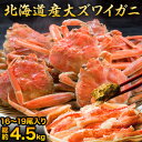 【BLACK FRIDAY応援SALE中】約16~19尾 4.5kg(正味4kg) 北海道産オオズワイガニ姿(ボイル済) ズワイ ずわい ずわいがに姿 訳アリ ...