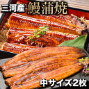 三河産鰻蒲焼中サイズ2枚 愛知県三河産 うなぎ ウナギ 蒲焼 蒲焼き うな重 国産ウナギ セット 鰻の蒲焼 国産鰻 うなぎ蒲焼き 土用の丑の日 土用 お祝い 海鮮 満足良品館 送料無料