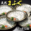 【お値引きクーポン配布中】12皿合計540g 国産天然まふぐ刺し身 ふぐ フグ 河豚 刺身 生食 天然 てっさ まふぐ 下関 山口 盛り合わせ 年末年始 正月 ...