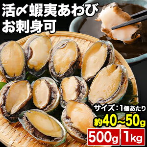 500g or 1kg 活〆 蝦夷あわび お刺身可 殻・肝付き アワビ 鮑 鰒 蚫 冷凍あわび えぞあわび 生食可 お造り 肝醤油 加熱可 バター焼き 満足良品館 送料無料