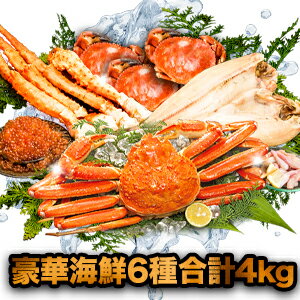 イバラガニ 【合計約4kg】豪華海鮮福袋6種入り合計約4kg カニ 蟹 かに 福袋 ズワイガニ ずわいがに イバラガニモドキ イバラガニ ストーンクラブ つぶ貝 いくら ホッケ 海鮮 満足良品館カニ 全国送料無料