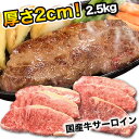 ステーキ肉 赤身 2キロ x2 グラスフェッドビーフ　サーロインステーキブロック肉 ステーキ 4kg（2kg×2）+ステーキスパイス 110g セット(送料無料)-SET012