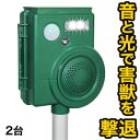 【お買い物マラソン応援SALE中】 2台 光と音の両対応 害獣撃退器 忌避 害鳥 害獣 猫避け ハト避け 猫 カラス ハト イノシシ シカ 寄せ付けない 玄関 ...