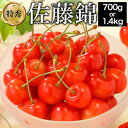 【ご予約商品】700g/1.4kg 特秀品 佐藤錦 さくらんぼの王様佐藤錦 さくらんぼ 産地直送 佐藤錦 チェリー さとうにしき 満足良品館 全国送料無料
