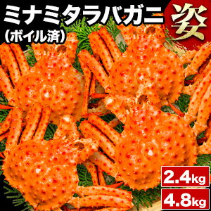 【お値引きクーポン配布中】2.4kg 4.8kg 約3尾～8尾 ボイルミナミタラバガニ姿 ミナミタラバ みなみたらば タラバガニ たらば タラバ タラバ蟹 南たらば タラバガニ姿 たらば姿 ボイルタラバガニ たらば脚 焼き蟹 脚 爪 全国送料無料