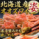 【お値引きクーポン配布中】小さめ 普通 大型 北海道産大ズワイガニ姿(ボイル済) 2.3kg 4.6kg ズワイ ずわい ずわいがに姿 ズワイガニ ズワイ蟹 ずわい蟹 大ズワイガニ カニ オオズワイガニ ボイルズワイガニ ずわいボイル かに茹で済 満足良品館カニ 全国送料無料