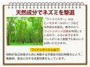 kanisho:10000472のサンプル画像3