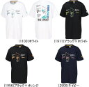 メール便無料 コンバース ジュニア プリント Tシャツ 半袖 CB441355 子供 キッズ ミニバス バスケット