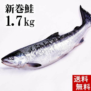 【半額 楽天スーパーセール】(送料無料)新巻鮭の姿 1.7kg　（北海道オホーツク産）味を引き立てる塩気と、身が引き締まりしっとりとしたサケ本来の味をお楽しみください。焼き魚やしゃけおにぎりも美味しい。食品 魚介類・シーフード サケ 新巻鮭