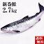 (送料無料)新巻鮭の姿 2.7kg　味を引き立てる塩気と、身が引き締まりしっとりとしたサケ本来の味をお楽しみください。焼き魚やしゃけおにぎりも美味しい。北海道グルメ食品 魚介類
