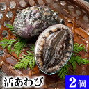 北海道 活蝦夷鮑　2個入りで合計200g