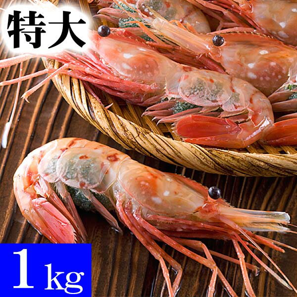 特大子持ち ぼたんえび　2Lサイズ　1kg(14～18尾入)　ボタンエビ特大サイズ、卵入り。ギュッと締まった..