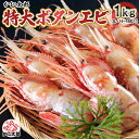 特大 子持ち ぼたんえび 2Lサイズ 1kg(14〜18尾入) ボタンエビ 特大サイズ 卵入り ギュッと締まった身の甘みと、海老味噌も絶品 お刺身用 お寿司用 ぼたん海老 えび ギフト