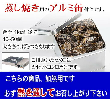 (送料無料) 殻付き生牡蠣貝のがんがん蒸し　4kg前後(1年貝・小型40〜50個)北海道サロマ湖産の殻付きかき貝。自宅で蒸し焼きのカキが食べられます。蒸し牡蠣用の缶付き。ガンガン焼き カンカン焼き