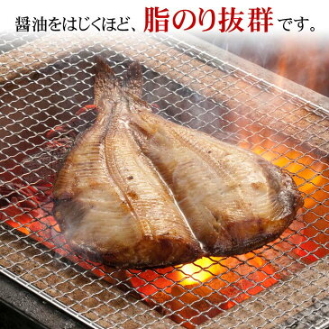 肉厚 シマホッケ一夜干し開き 1枚(トロホッケ 干し魚) ジュッと縞ほっけの脂の焼ける音が食欲をそそります。肉厚なしまほっけなので食べ応えありますよ。開き縞ホッケ干物 魚介類・シーフード しまホッケ