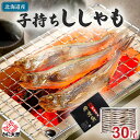 子持ち 本シシャモ メス 30尾入り(中サイズ) 北海道鵡川・広尾・厚賀・釧路産 ししゃも 脂のりも良く、ご飯のおかずに最適 干物 柳葉魚 干し魚 ぷちぷち卵の...