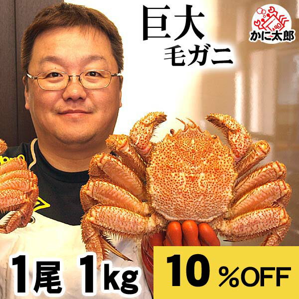 [ŷ㤤ʪޥ饽] Ķӳ1kg1 ܥ ̳ƻӥˤǤӤˤ̣Ǥ⤢륫̣Ȥ˿ȤƤ夬꤯...