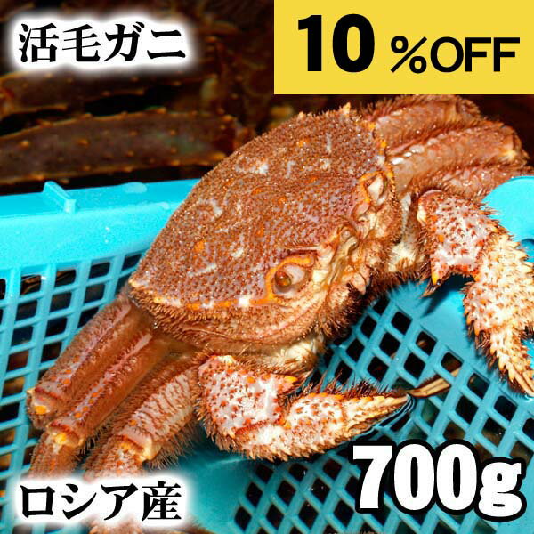 楽天お買い物マラソン 活毛蟹　700g前後 大型 ロシア産　毛ガニの美味しさを味わうなら、未冷凍（冷 ...