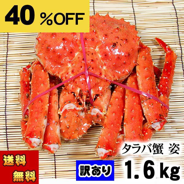 [ŷ㤤ʪޥ饽] (̵) ꡡХˡФ ѡ1.6kg塡ܥࡡ­ޤ줢 櫓 г ٤ꥵ ...