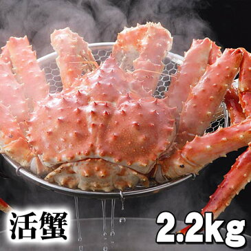 活タラバガニ　活本タラバガニ オス　2.2kg前後　茹でたてなら到着後、すぐ食べられる未冷凍の本タラバガニです。活カニならではのお刺身用でも食べられます。焼きガニ、蒸し蟹も美味しい。　(ギフト食品)