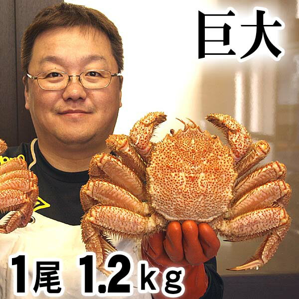 巨大な毛蟹　1.2kg　1尾入り ボイル冷凍 北海道産の毛ガニです。毛がにの醍醐味でもあるカニ味噌と ...