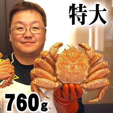 特大の毛蟹　760〜820g ボイル冷凍 北海道産の毛ガニです。毛がにの醍醐味でもあるカニ味噌とかに身と絡めてお召し上がりください。かに通販 蟹みそ北海道グルメ食品 魚介類・シーフード カニ 毛ガニ 　(ギフト食品)