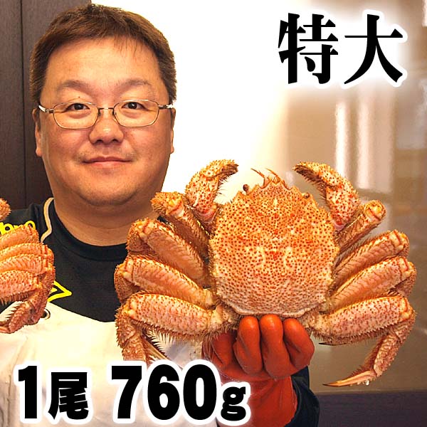 特大の毛蟹　760～820g 1尾入り　ボイル冷凍 北海道産の毛ガニです。毛がにの醍醐味でもあるカニ味噌とかに身と絡めてお召し上がりください。蟹みそ かに通販 カニお取り寄せ ギフト