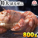 (特大サイズ) 北海道産 活毛蟹 800g前後 毛ガニの美味しさを味わうなら、未冷凍(冷蔵) 活け活毛蟹 茹でたて 毛がに 醍醐味でもあるカニ味噌 活毛ガニ かにのお刺身 毛がに 通販 北海道 グルメ 食品 魚介類・シーフード カニ 毛ガニ 活