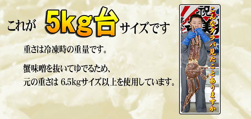 サンプル画像2