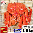 (送料無料) 訳あり タラバガニ たらばがに 姿 1.6kg前後 ボイル冷凍 足御折れあり わけあり品 たらば蟹 食べきりサイズ カニ姿 かに飯 焼きガニも美味...