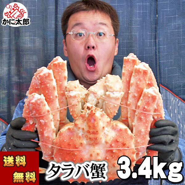 (送料無料) タラバガニ 超特大 たらばがに 姿 3.4kg前後 大型 ボイル冷凍(北海道・ロシア原料) たらば蟹 贈答用 カニ姿 かに飯 焼きガニも美味しい 身の入りいい かに足 カニ 通販 かに 北海道 グルメ ギフト