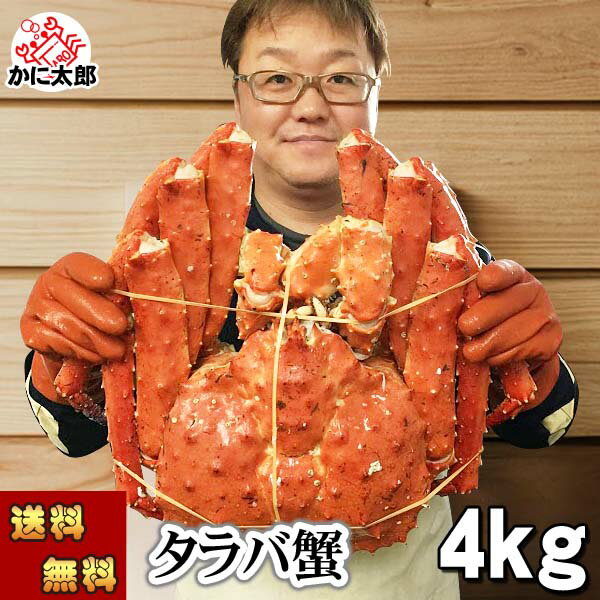 楽天北海道の海鮮お取り寄せ かに太郎（送料無料） タラバガニ　たらばがに 姿　超特大4.0kg前後　巨大　ボイル冷凍（北海道・ロシア原料）　たらば蟹 贈答用 カニ姿 かに飯 焼きガニも美味しい 身の入りいい 極太かに足 カニ 通販 かに お取り寄せ ギフト お歳暮