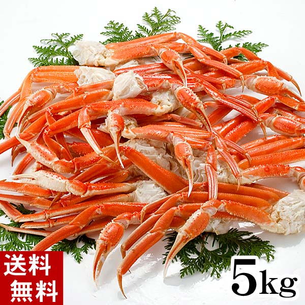 (送料無料) 訳あり ズワイガニ かに足・肩 5kg前後 ボ